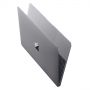 Ноутбук Apple MacBook 12 Core M5 1.2/8/512SSD Space Gray MLH82